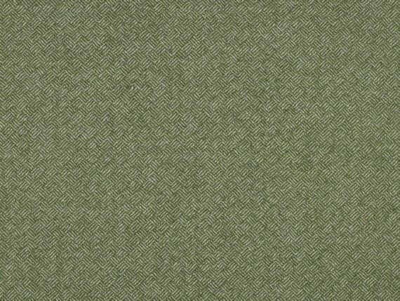 Fabric swatch showing the Abraham Moon Parquet Green Fabric